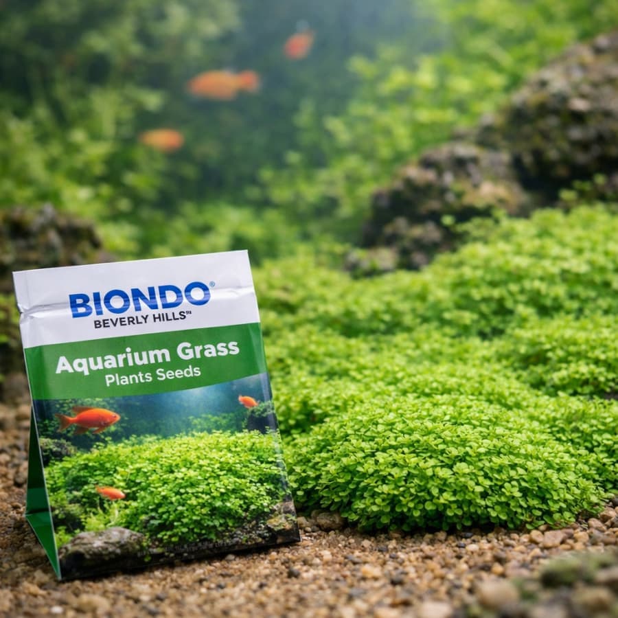 Fast-Spreading Aquarium Aquatic Carpet Grass Seeds